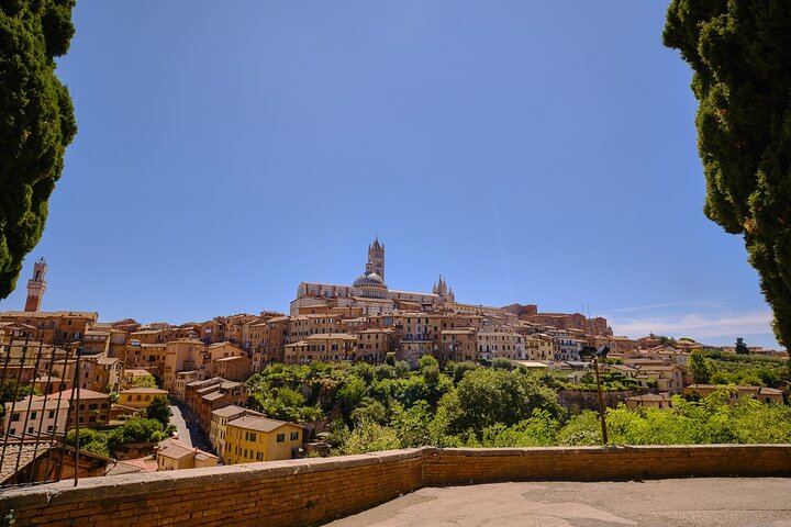 Private Tuscany Day Tour from Florence by Mercedes: Siena, San Gimignano, Chianti Hills (11/12)