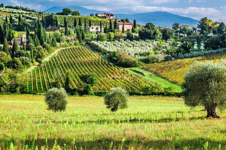 Private Florence Day Trip to Pienza and Montepulciano: Pecorino Dairy, Winery, Minivan (6/7)