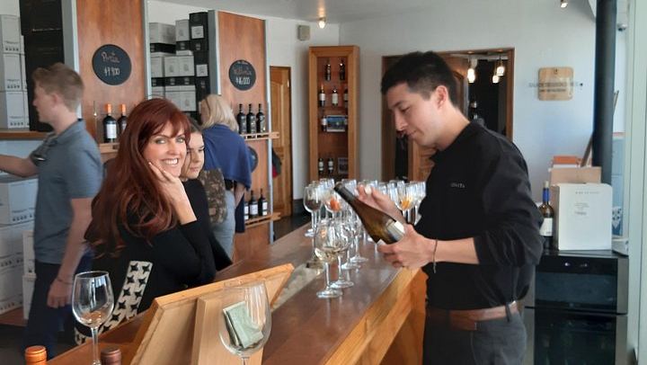Private Valparaiso and Viña del Mar Day Trip with Boutique Winery Tasting at Bodega RE (4/12)