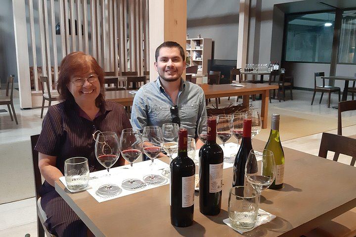 Private Valparaiso and Viña del Mar Day Trip with Boutique Winery Tasting at Bodega RE (6/12)