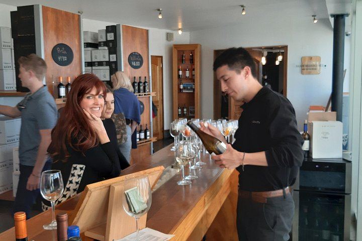 Private Valparaiso and Viña del Mar Day Trip with Boutique Winery Tasting at Bodega RE (4/12)