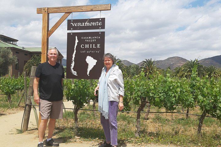 Private Valparaiso and Viña del Mar Day Trip with Boutique Winery Tasting at Bodega RE (7/12)
