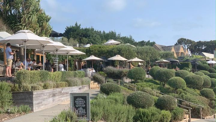 Private Waiheke Food and Wine Tour: Olive Oil, Honey, Vineyard Lunch, Qualmark Gold (3/5)