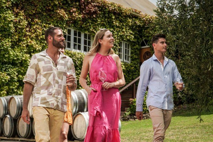 Private Waiheke Food and Wine Tour: Olive Oil, Honey, Vineyard Lunch, Qualmark Gold (1/5)