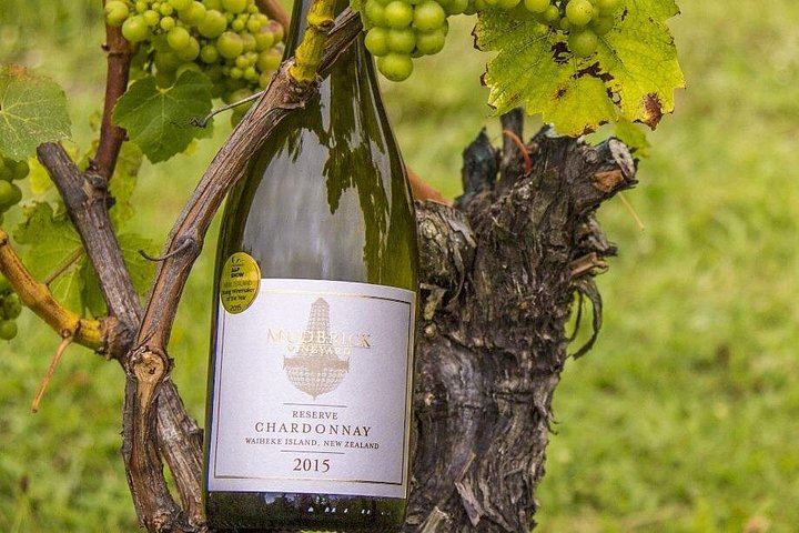 Private Waiheke Food and Wine Tour: Olive Oil, Honey, Vineyard Lunch, Qualmark Gold (5/5)