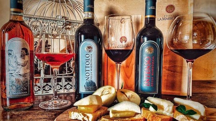 Podere la Marronaia Organic Wine and Olive Oil Tasting, San Gimignano (2/11)