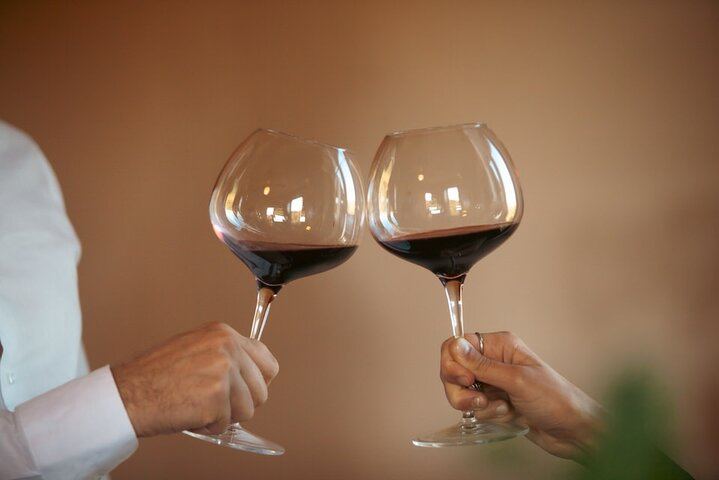 Podere la Marronaia Organic Wine and Olive Oil Tasting, San Gimignano (4/11)