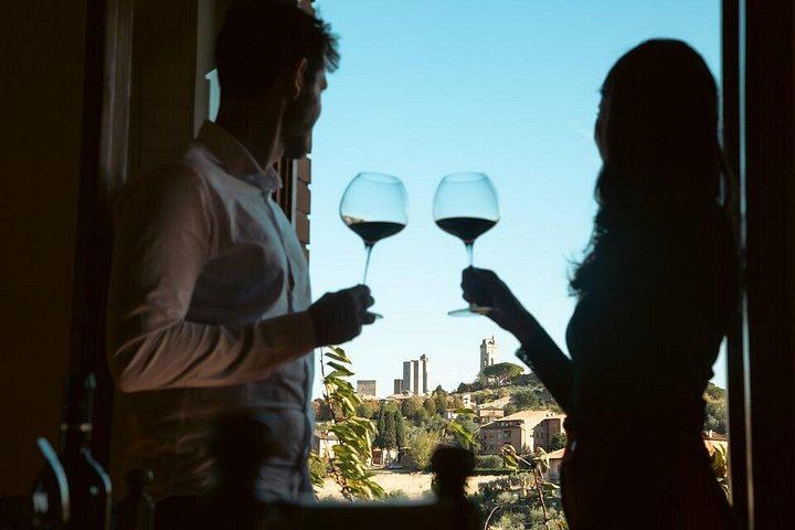 Podere la Marronaia Organic Wine and Olive Oil Tasting, San Gimignano (1/11)
