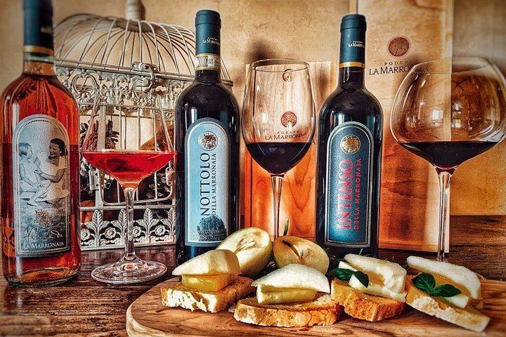 Podere la Marronaia Organic Wine and Olive Oil Tasting, San Gimignano (2/11)