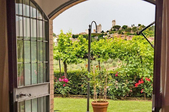 Podere la Marronaia Organic Wine and Olive Oil Tasting, San Gimignano (10/11)