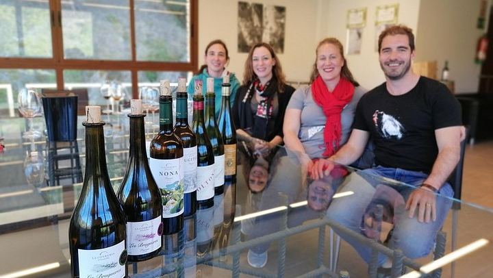 Private Priorat Day Trip: Montsant and Priorat Wines, Olive Oil and Farmer Lunch (2/6)