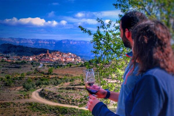 Private Priorat Day Trip: Montsant and Priorat Wines, Olive Oil and Farmer Lunch