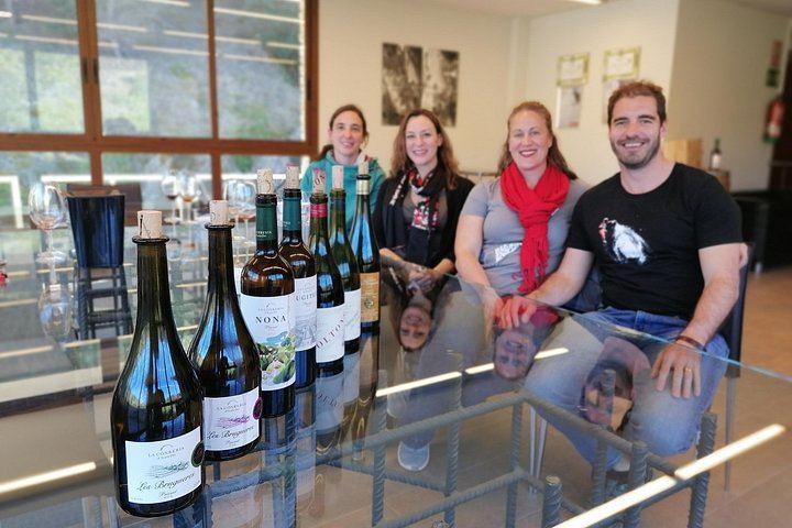 Private Priorat Day Trip: Montsant and Priorat Wines, Olive Oil and Farmer Lunch (2/6)