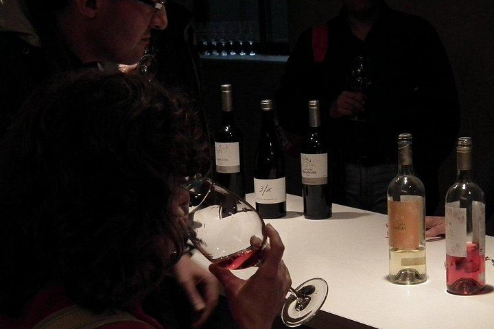Private Priorat Day Trip: Montsant and Priorat Wines, Olive Oil and Farmer Lunch (5/6)