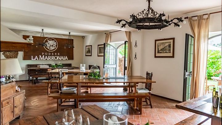 Private Tasting of Organic Wines, Olive Oil, Balsamic, Pecorino and Bruschetta (4/5)