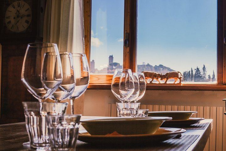 Private Balsamic Vinegar, Wine and Olive Oil Experience with Tuscan Meal (1/8)
