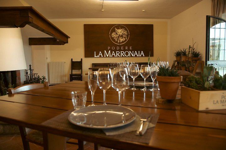 Private Balsamic Vinegar, Wine and Olive Oil Experience with Tuscan Meal (8/8)