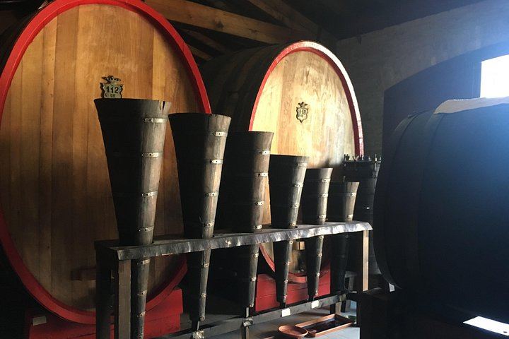 Private Balsamic Vinegar, Wine and Olive Oil Experience with Tuscan Meal (5/8)