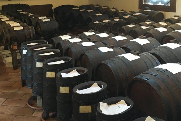 Private Balsamic Vinegar, Wine and Olive Oil Experience with Tuscan Meal (6/8)