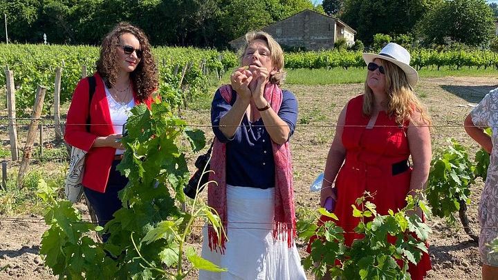 Private Saint-Émilion Insider Day: Limestone Caves, Organic Family Estate (3/12)