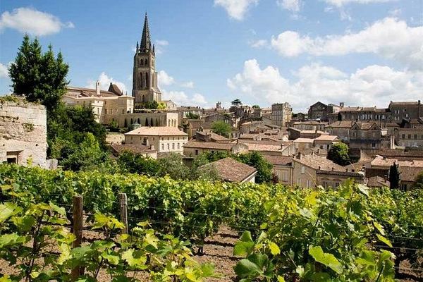 Private Saint-Émilion Insider Day: Limestone Caves, Organic Family Estate
