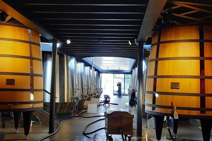 Private Saint-Émilion Insider Day: Limestone Caves, Organic Family Estate (7/12)