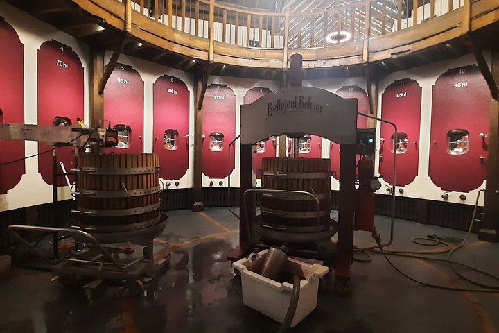 Private Saint-Émilion Insider Day: Limestone Caves, Organic Family Estate (8/12)