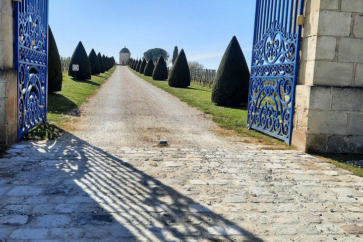 Private Saint-Émilion Insider Day: Limestone Caves, Organic Family Estate (6/12)