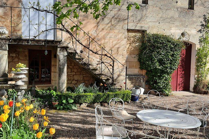 Private Saint-Émilion Insider Day: Limestone Caves, Organic Family Estate (11/12)
