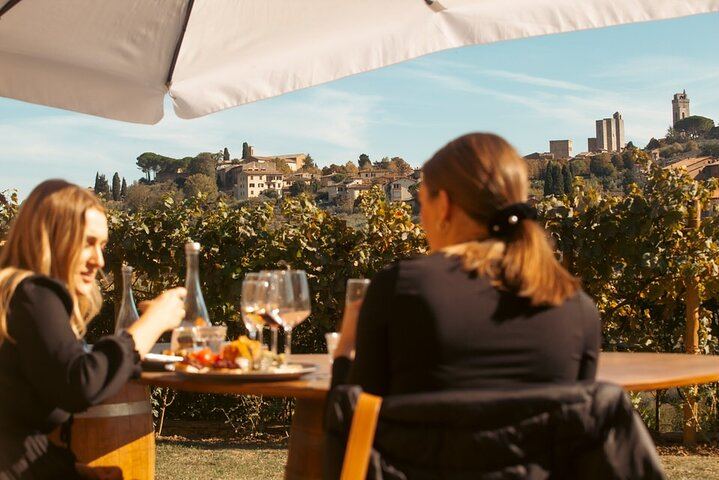 Private Vernaccia Vineyard Lunch with Wine and Olive Oil Tasting (5/10)