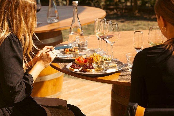Private Vernaccia Vineyard Lunch with Wine and Olive Oil Tasting (6/10)