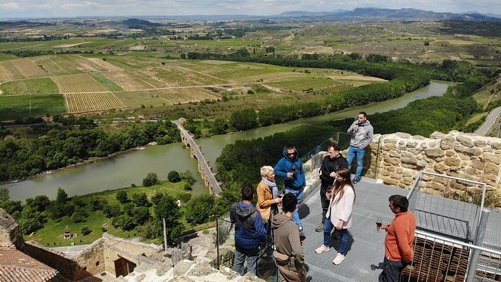 Private Family Winery Tasting and Vineyard Visit, San Vicente de la Sonsierra (3/4)