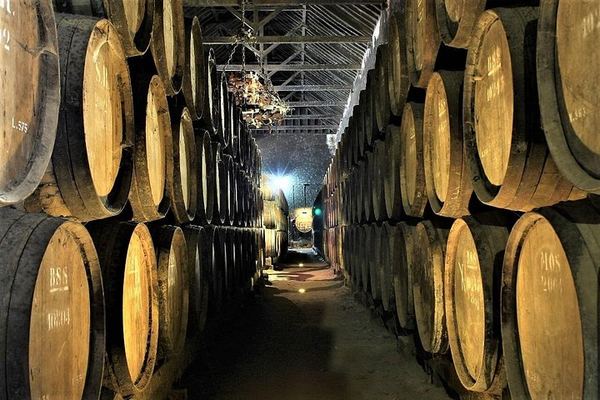 Private Setúbal Wine Day from Lisbon: Three Family Cellars or Two Plus a Village Lunch