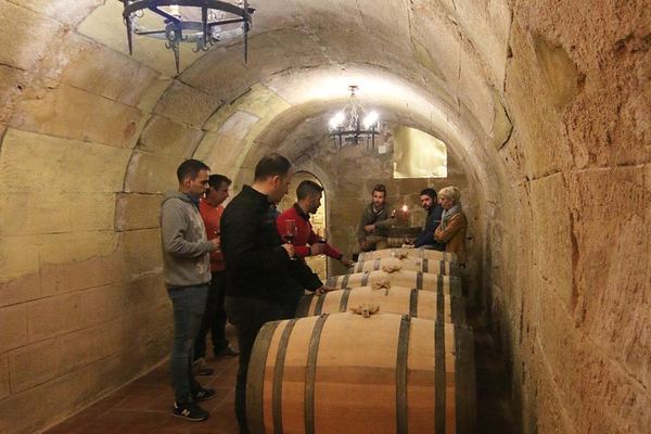 Private Family Winery Tasting and Vineyard Visit, San Vicente de la Sonsierra