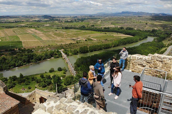 Private Family Winery Tasting and Vineyard Visit, San Vicente de la Sonsierra (3/4)
