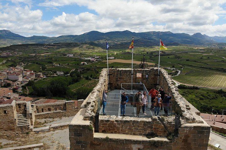 Private Family Winery Tasting and Vineyard Visit, San Vicente de la Sonsierra (4/4)