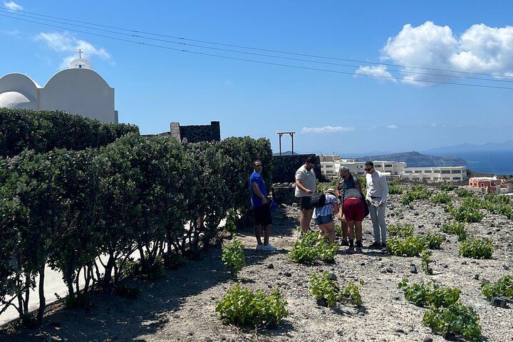 Private Santorini Wine Tour: Exo Gonia, Argyros and Anhydrous, 12 Tastings (8/12)