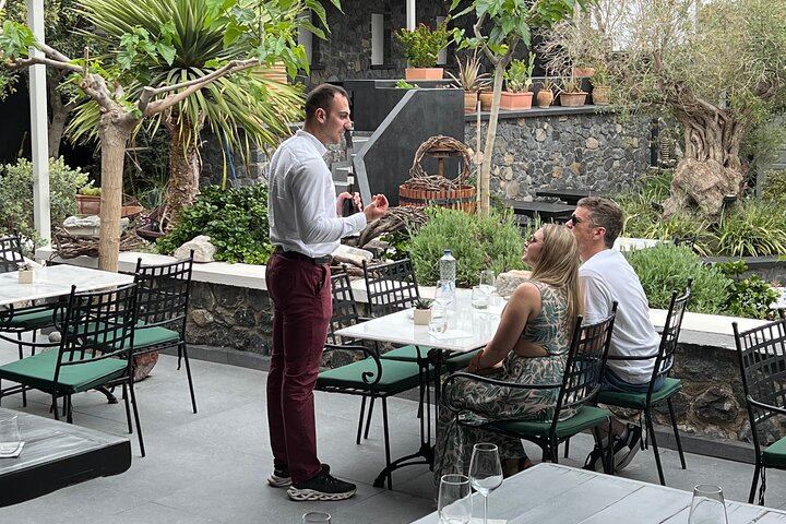 Private Santorini Wine Tour: Exo Gonia, Argyros and Anhydrous, 12 Tastings (9/12)