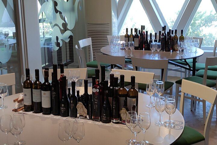Private Santorini Wine Tour: Exo Gonia, Argyros and Anhydrous, 12 Tastings (6/12)
