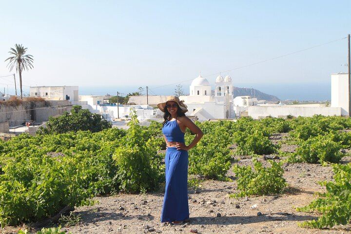 Private Santorini Wine Tour: Exo Gonia, Argyros and Anhydrous, 12 Tastings (7/12)