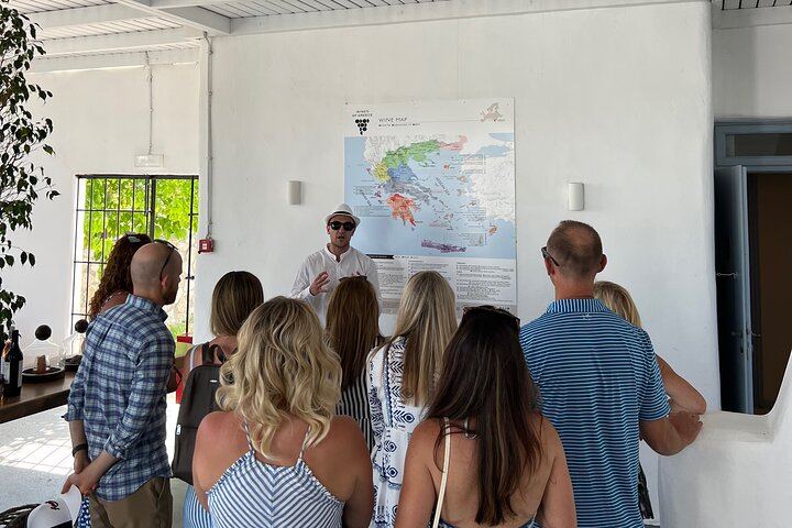 Private Santorini Wine Tour: Exo Gonia, Argyros and Anhydrous, 12 Tastings (11/12)