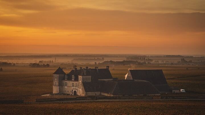 Private Côte de Nuits and Côte de Beaune Wine Tour by Minivan with a Native Expert Guide (2/7)