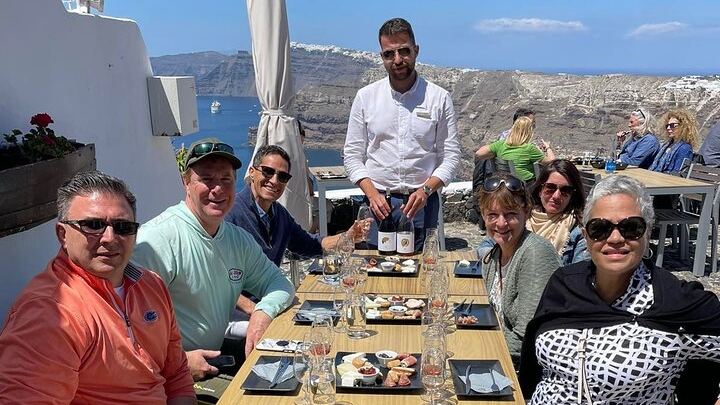 Private Santorini Wine Tour: Exo Gonia, Argyros and Anhydrous, 12 Tastings (2/12)