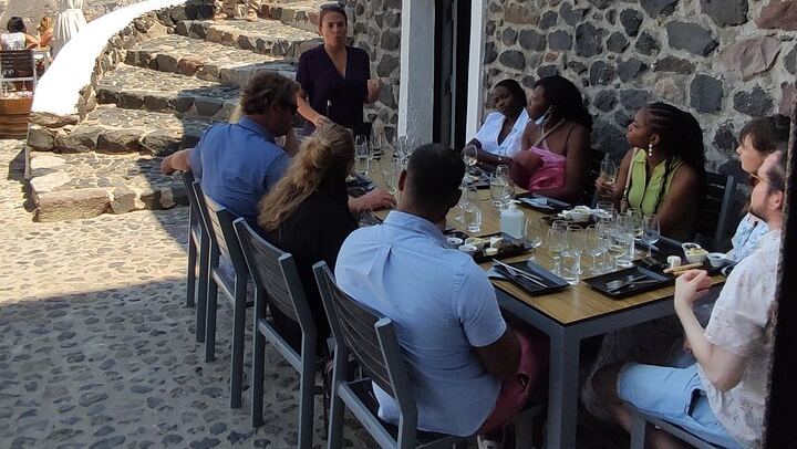 Private Santorini Wine Tour: Exo Gonia, Argyros and Anhydrous, 12 Tastings (3/12)