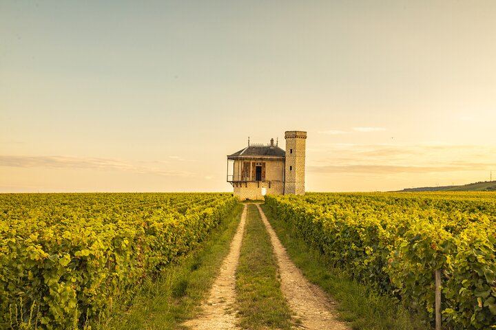 Private Côte de Nuits and Côte de Beaune Wine Tour by Minivan with a Native Expert Guide (1/7)