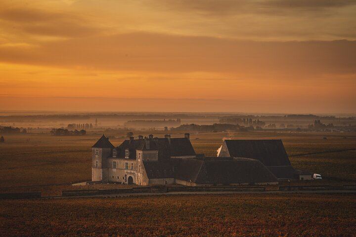 Private Côte de Nuits and Côte de Beaune Wine Tour by Minivan with a Native Expert Guide (2/7)