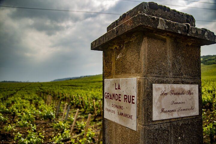 Private Côte de Nuits and Côte de Beaune Wine Tour by Minivan with a Native Expert Guide (5/7)