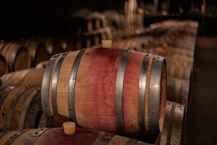 Private Côte de Nuits and Côte de Beaune Wine Tour by Minivan with a Native Expert Guide (7/7)