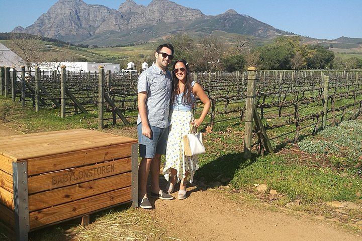 Private Half or Full-Day Cape Winelands Wine Tour: Stellenbosch, Franschhoek, Paarl (1/12)
