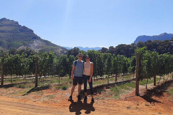 Private Half or Full-Day Cape Winelands Wine Tour: Stellenbosch, Franschhoek, Paarl (2/12)